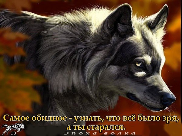 IMG 20181215 190337