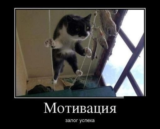 Мотивация