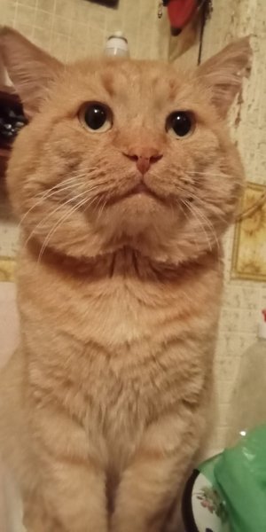 picture_352431687