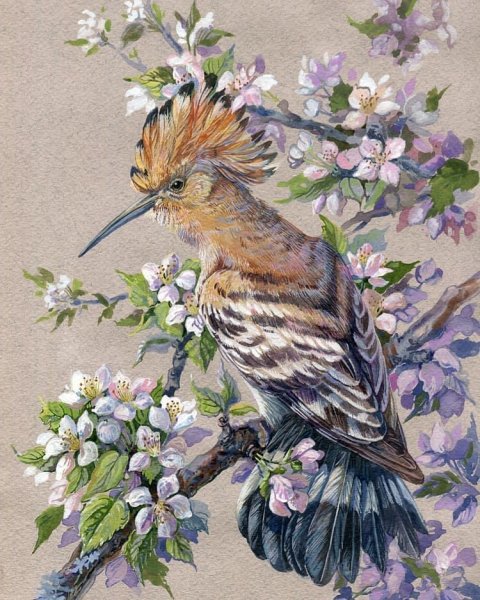 4I29VFWuz3M Художник Tiwel owl