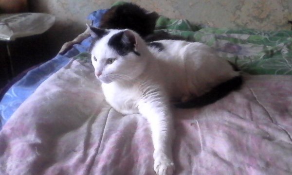 IMG 20201204 125502