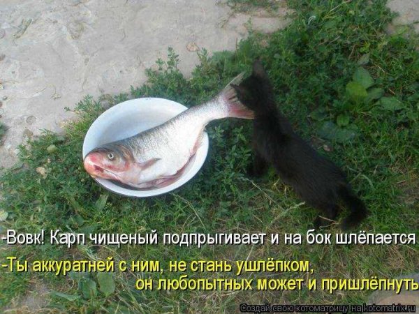 И пришлепнуть