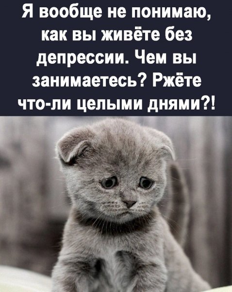 IMG 20220904 133453