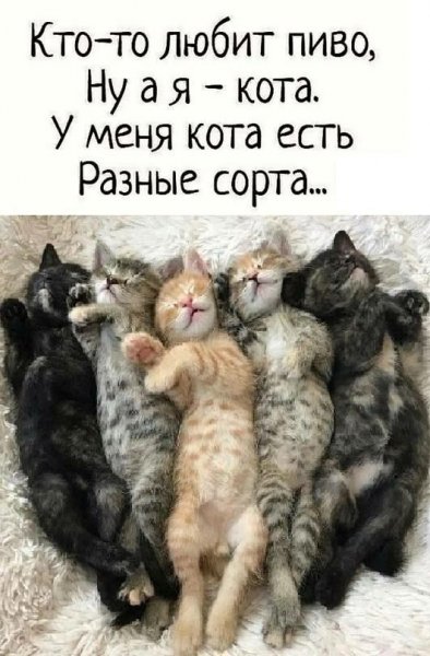Да! ))
