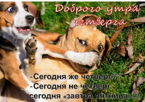 Доброго утра четверга