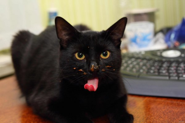 pics
