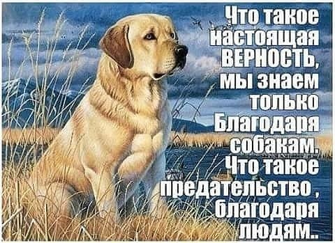 IMG 20190612 122818