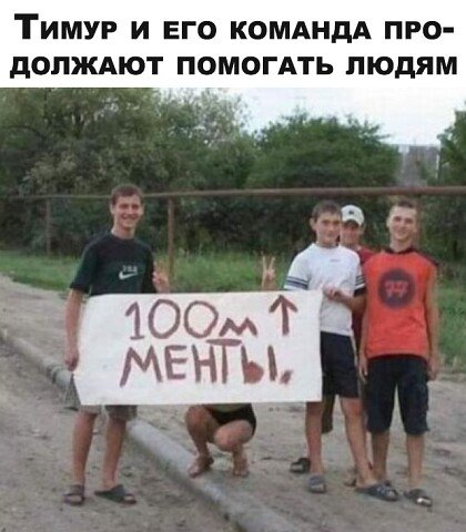 Тимур и его команда