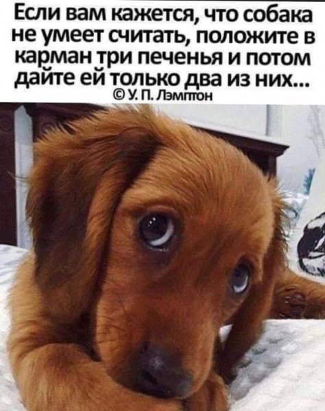 IMG 20190204 233042