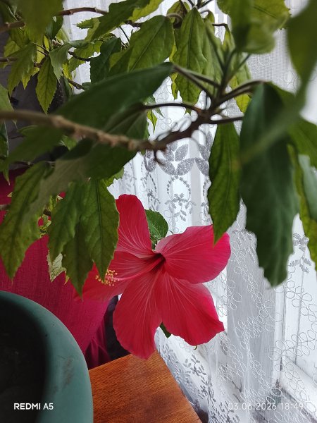 picture_413925057