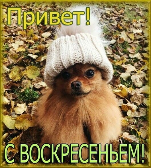 Привет!!!