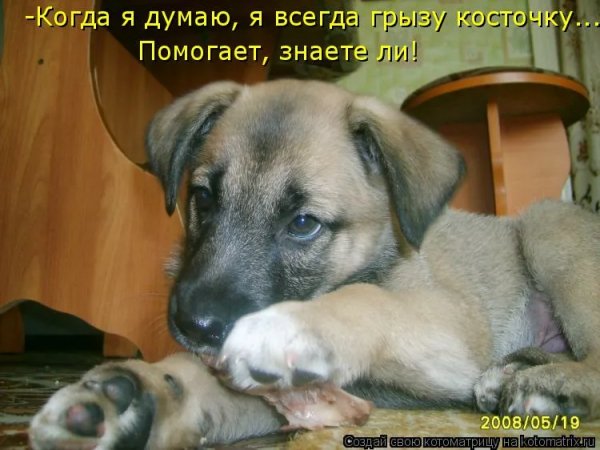 Помогает, знаете ли!