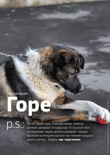 Горе