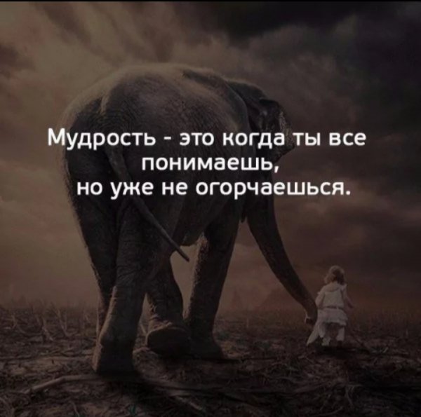 Мудрость