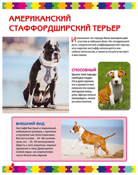 Амстафф