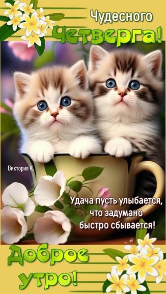 5a81cbdddbdd49a1b5b6b2eb0ace1408