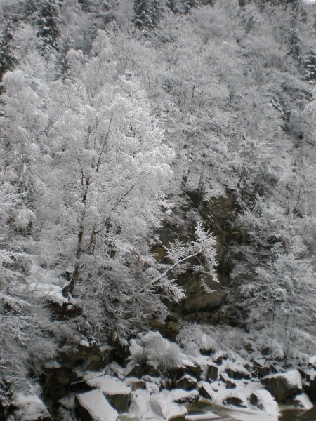 Яремче