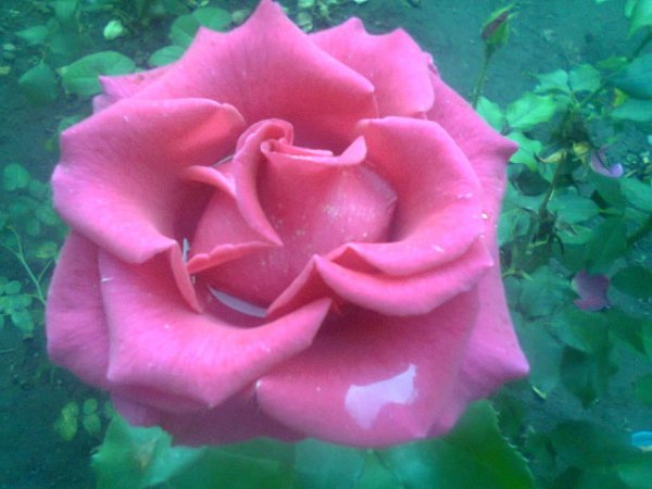 7Фото