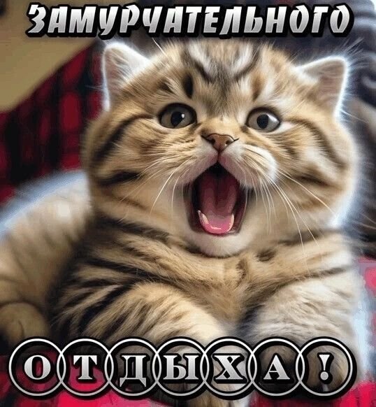 F840694b9f6e2470be5bccdcba6edbbc