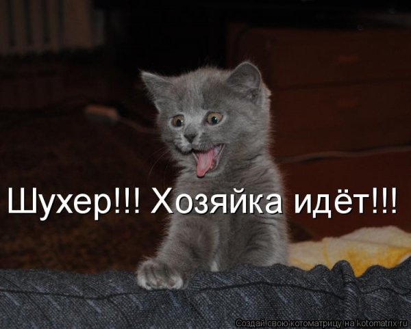 Шухер!!!