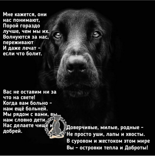 Мне кажется...