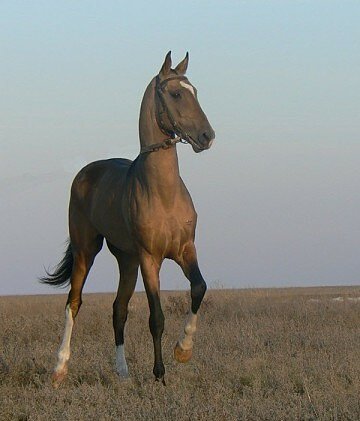 IMG 20220225 081413