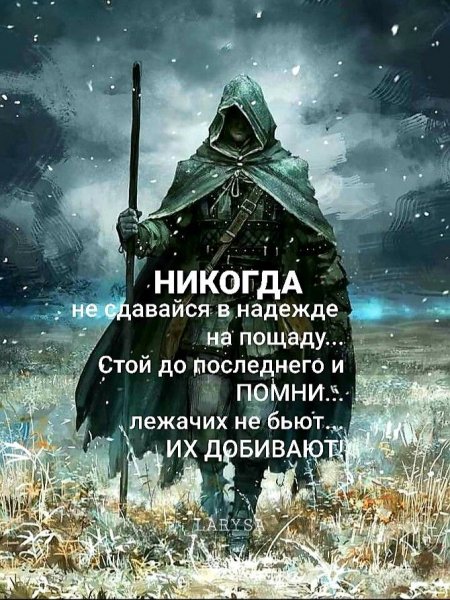 (4)