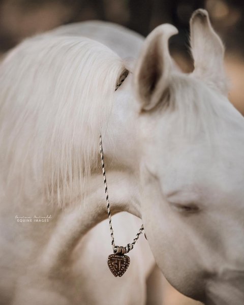 gzXz0t gypE
