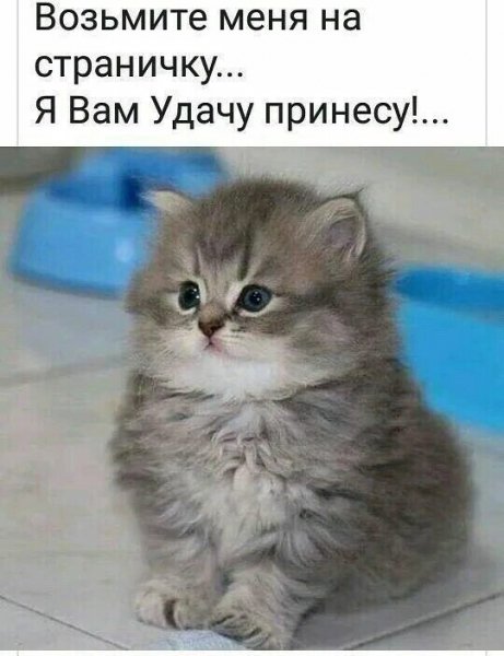 IMG 20240208 123148
