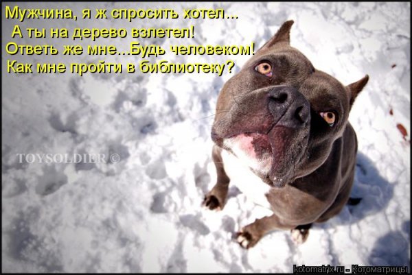 Мужчина...