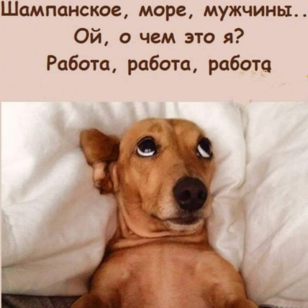 Работа, работа, работа...