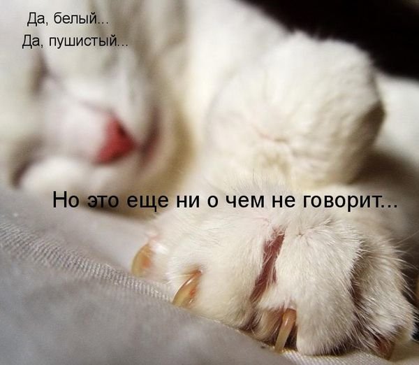 Так!