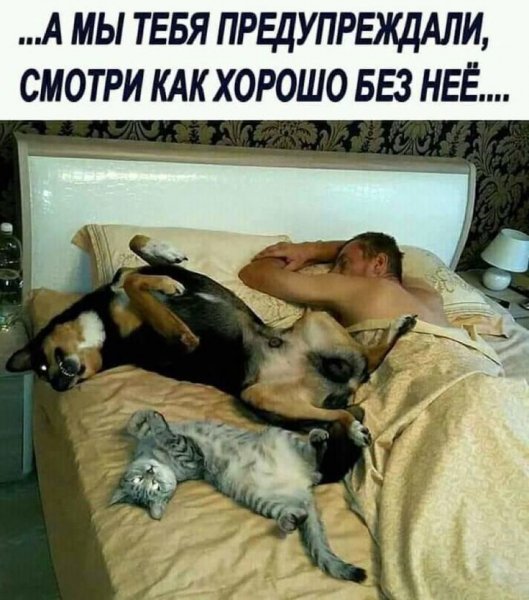 Хорошо без неё...