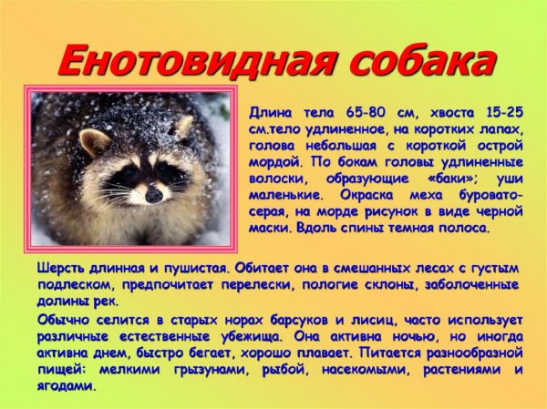 )))