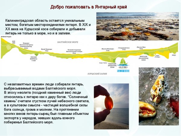 Добро пожаловать в Янтарный край!