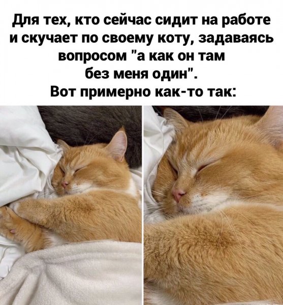 Примерно как-то так
