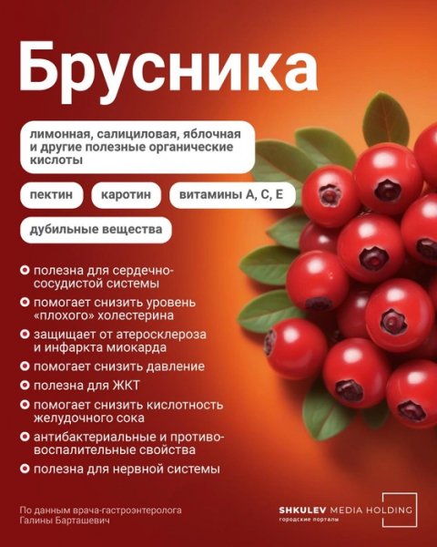 Брусника