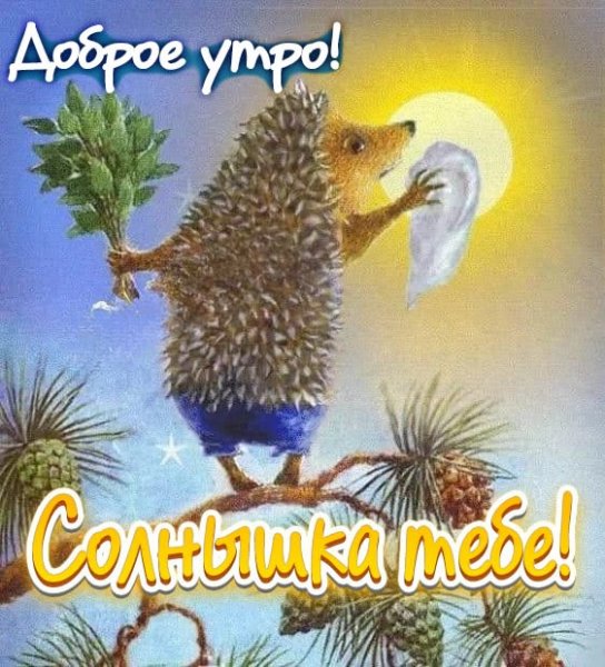 F2e772af0d387672b4d2b2ac8b4b509f