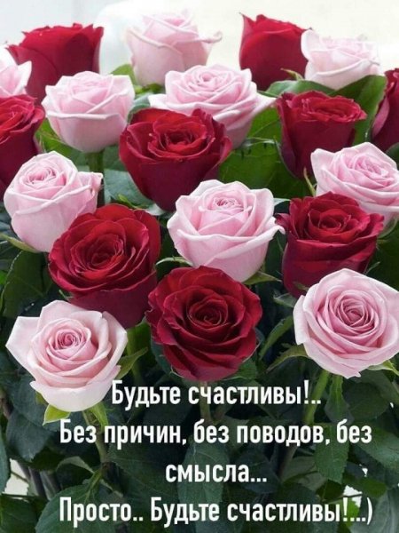 FB IMG 1588491514846