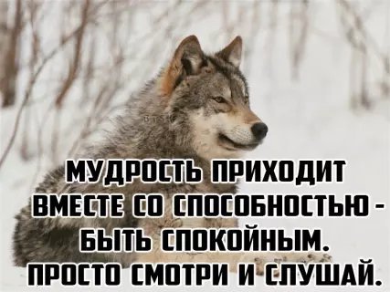 picture_211650470