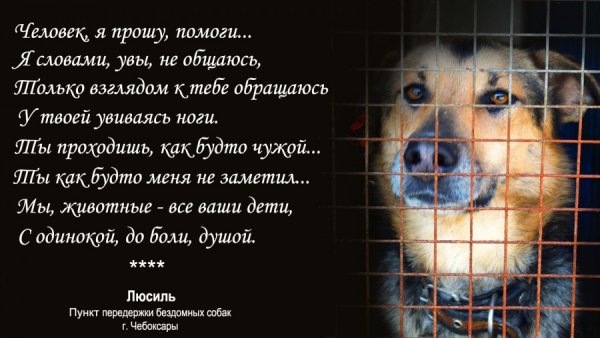 Человек....