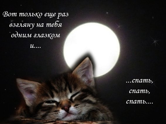 Спать, спать, спать...