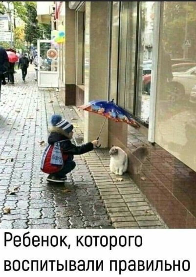 picture_272076613