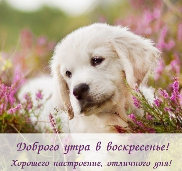 Отличного дня!