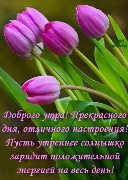 ПУСТЬ УТРЕННЕЕ СОЛНЫШКО ЗАРЯДИТ ПОЛОЖИТЕЛЬНОЙ ЭНЕРГИЕЙ))))))
