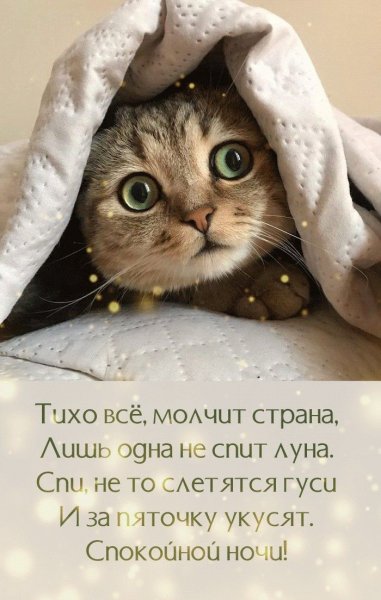 Тихо всё...