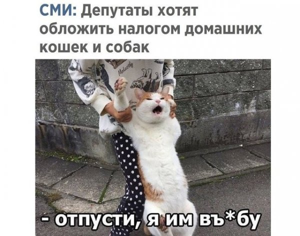 4B9AAC1D 5695 4F2D A89C 4698FB4E010E-wap sasisa ru