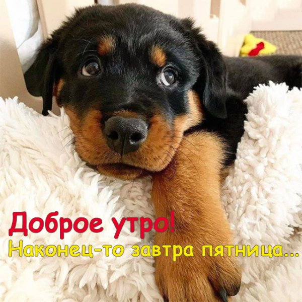 Да! ))
