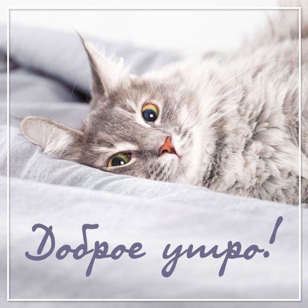 Доброе утро!