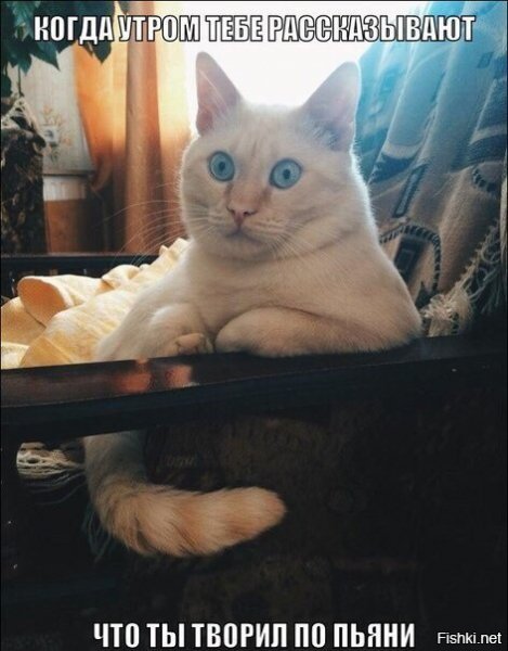 ))